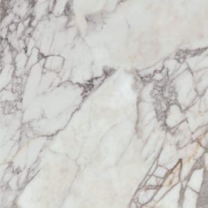 Calacatta Silver
